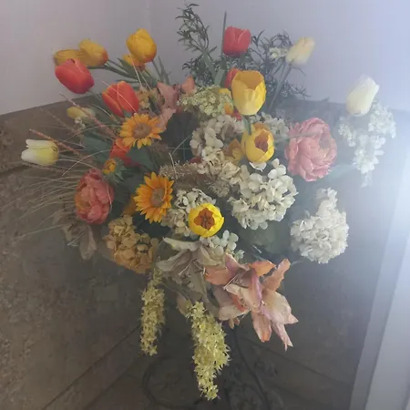 Giardino Sul شقة *